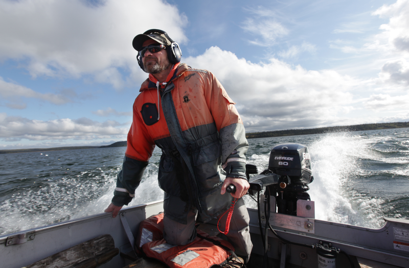 Daniel Schindler zipping across Lake Nerka to visit a salmon spawning beach; “it’s the diversity of all those habitat types and the genetic diversity of the salmon that inhabit those habitats that makes the system productive and reliable,” Schindler said. Photo credit: Duncan Sullivan